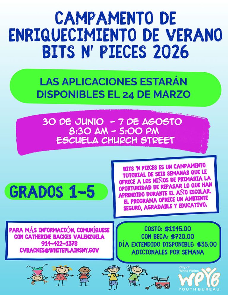 BnPCampFlyer-SPAN